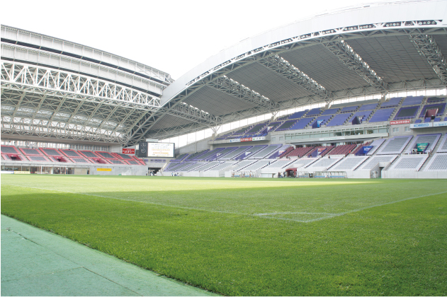 Image of stadium using sports turf